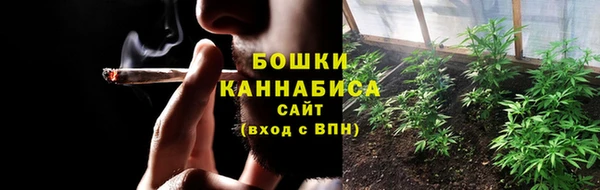 СК Бородино