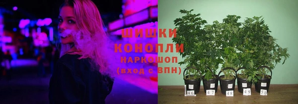 дурь Бронницы
