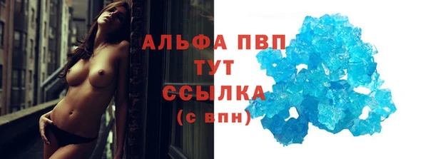 СК Бородино
