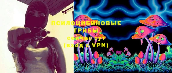 СК Бородино