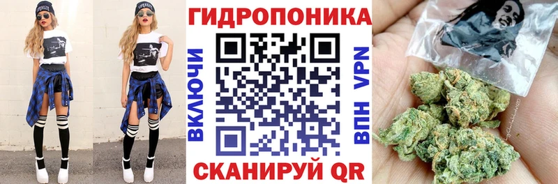 Бошки марихуана OG Kush Курск